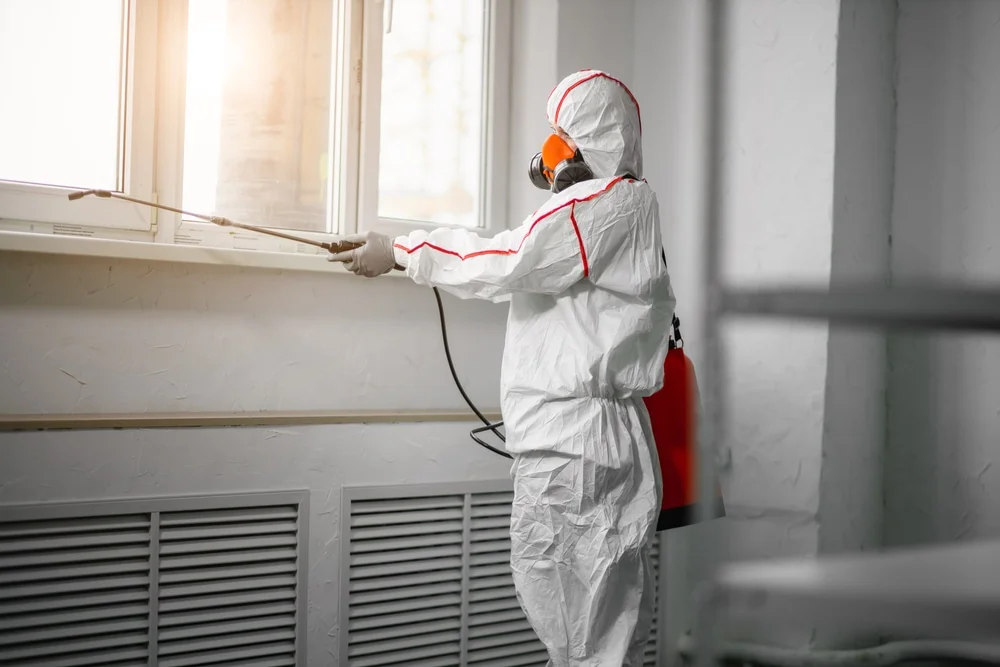 Professional mold remediation services in Paulsboro, NJ